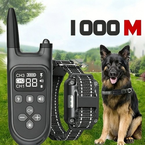 Collare educativo cane - cane, 1000m